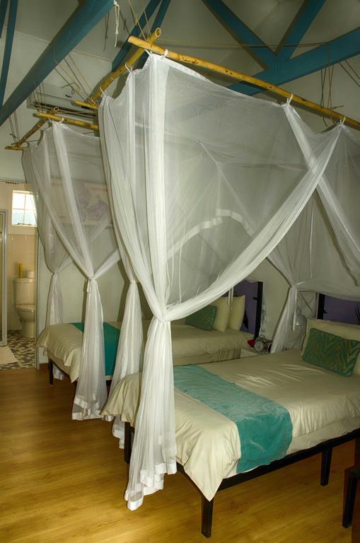 The Old House Bed and Breakfast Kasane Εξωτερικό φωτογραφία